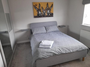 Stylish house in Roydon
